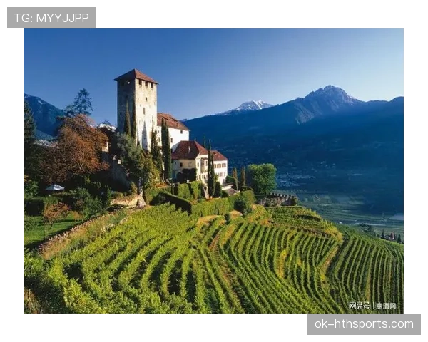 拉皮诺退役后还在靠代言养那座酒庄？